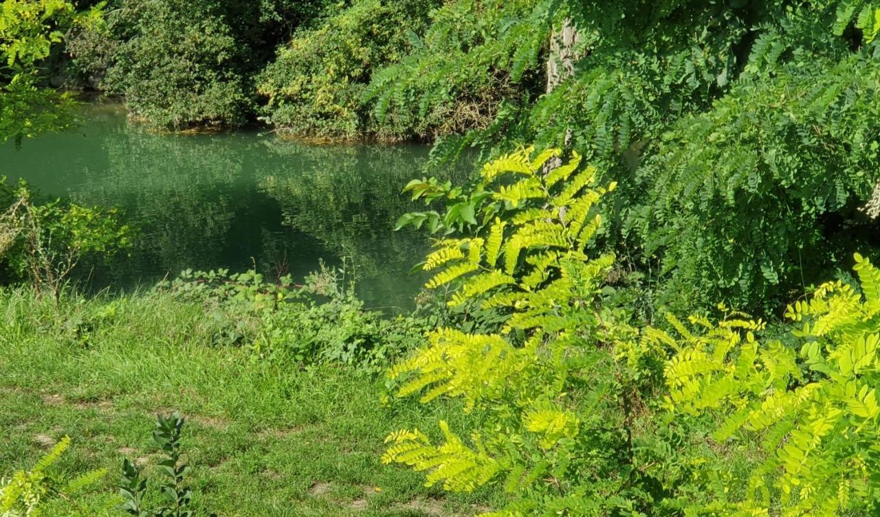 Au Petit Canal De Colmar 2 Kunheim Exteriér fotografie